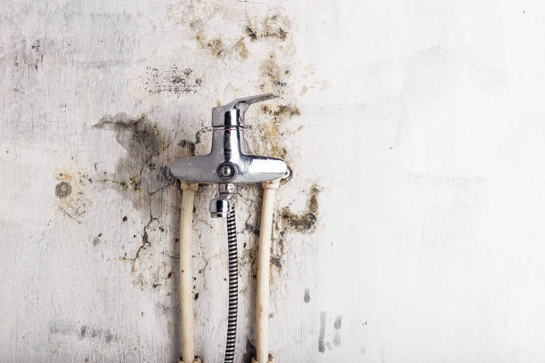 Mold Testing and Removal in Sylvan Springs, AL