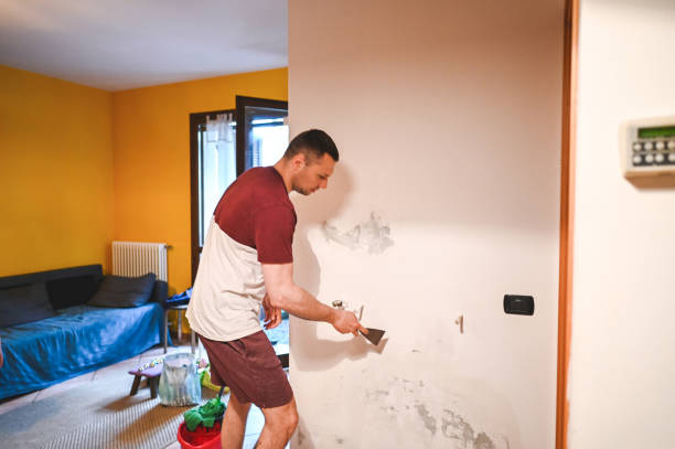 Office Mold Removal Services in Sylvan Springs, AL