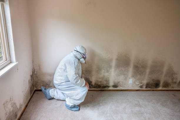 Best Crawl Space Mold Removal  in Sylvan Springs, AL